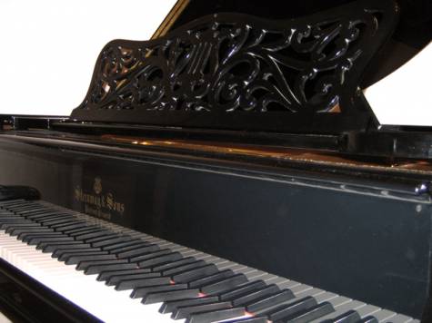 Steinway Fl��gel (general��berholt) - Bild 2