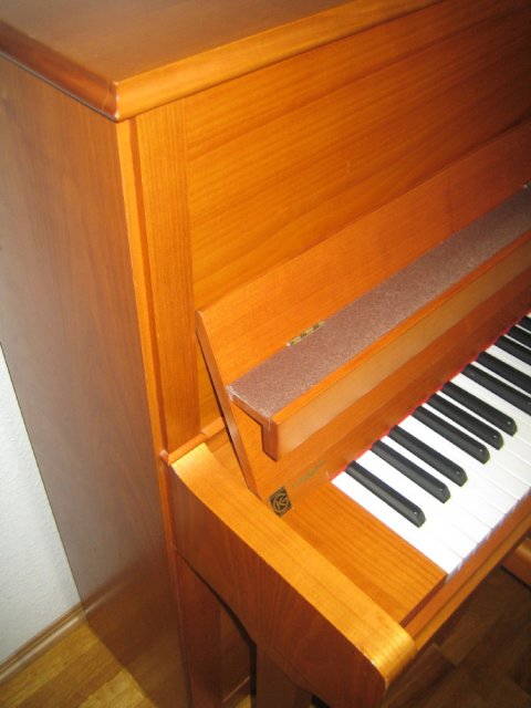 Seiler Klavier 118