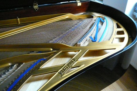 Blüthner Konzertflügel Modell 4  (2,10m)